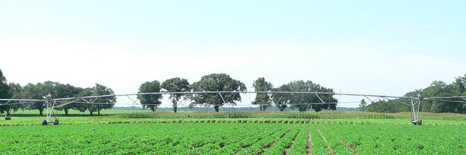 Estación meteorológica agrícola